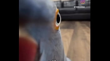 Preview 2 of Indian Xxx Vidos Bhabie - Hey YOU - Yes YOU !!!I just wanted to thank you that you are on my side ️