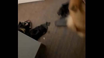 Preview 1 of Cowboys Fight Over Girl - Masterbation