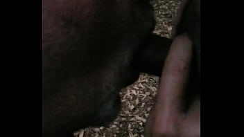 Preview 2 of Xxxxja - Sucking moses