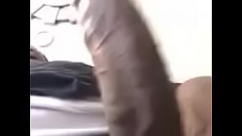 Preview 1 of Saxi Pick - My big black fat dick