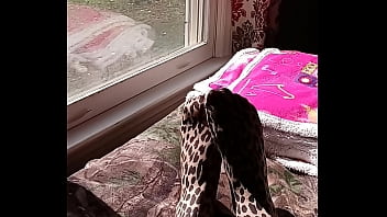 Preview 2 of Porno Bestemmie In Webbcam - Leopard tights tease