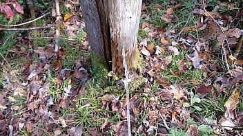Preview 1 of Teens Old Jav - Pissing on Trees: Fall Edition