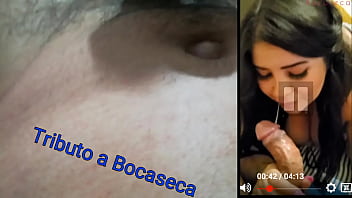 Preview 3 of Soria Elf - Tributo a Bocaseca