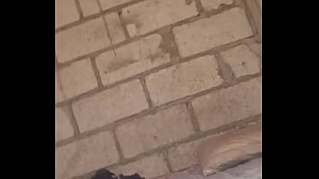 Preview 1 of Anime Gay Teens Hitting It Hard - V&iacute_deo de verificaci&oacute_n