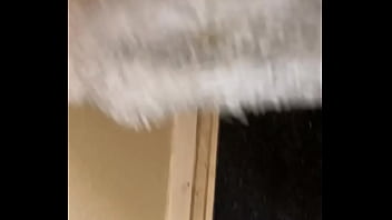 Preview 4 of Xxxx Brewery Brisbane - Verification video