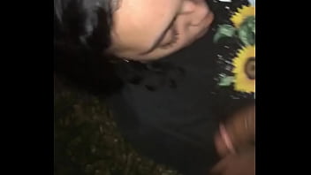 Preview 4 of Xxx De Cobra - Mixx babe sucking dick on a playground after dark