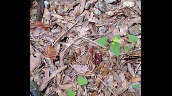 Preview 4 of Fake Secretary Hot Video - Stranger tastes exhibitionist mature wife nude in woods