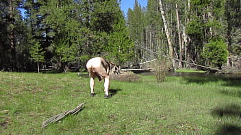 Preview 1 of Mexicana Lycra - Naked walk at the creek.