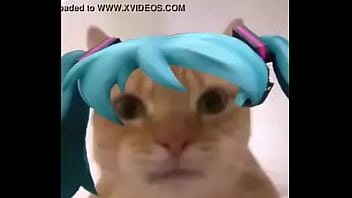 Preview 4 of Busty Jap Outcall Girl - mikufiesta