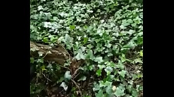Preview 4 of Brezzers Video - Cumshot hiding in the bushes