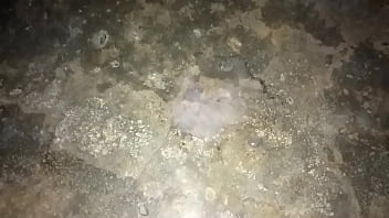 Preview 4 of Versaut Pervers Brutal - Mi vecina salio de la casa en la noche y me dejo solo con mi vecina y me la follo rico por el culito