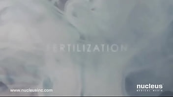 Preview 1 of Sleeping Very - fertiliza&ccedil_&atilde_o