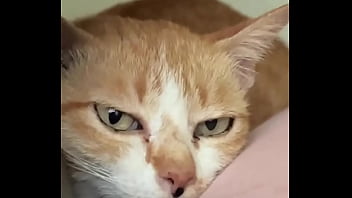 Preview 2 of Happybirdhey With Gransfather - Miss our little crazy cat already!  Do you feed street animals? No matter where we go we have cat food with us and fe...