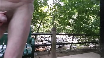 Preview 3 of Xxx Pins Vidoes - Jack Off At The Canine Park Aug 2016
