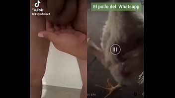 Preview 1 of Ts Angelyck - Pollo de whatsapp