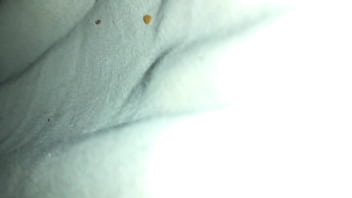 Preview 4 of Porn Hq Porn Baldiz Etek Alti - Forth time tonight and mama still going she is the best