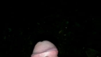 Preview 4 of Nippel Tickle - pissing in the woods by night.