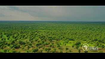 Preview 1 of Sheila Lindell Nude - Bangnolly Africa - Beautiful African Maidens get quick outdoor blowjob