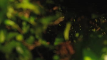 Preview 1 of Chota And Bachi Choti Sex Video - i feel so horny on an outdoor date