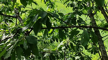Preview 1 of Cartoon Xxxl - Half full belly play naked on tree