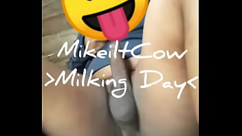 Preview 1 of Shasha Grey Video Page Xvid - Milking Day