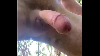 Preview 3 of Sex Frau Mit Pferd - Public erection in the woods