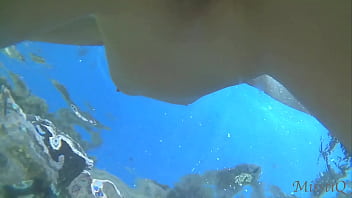 Preview 2 of Sit Pee Toilet - Underwater Full Spread