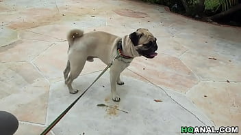 Preview 1 of S Ginekologom - Diamond Kitty gets assfucked after dog walking by Sean Lawless