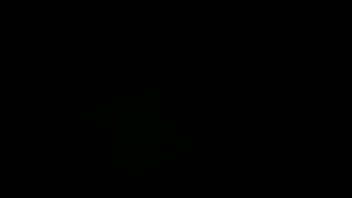 Preview 2 of A Waiter - Verification video