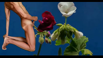 Preview 2 of Search Some Porn Ben10 - Blooming flower blooming cock