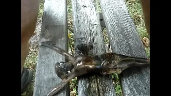 Preview 1 of Old Sexy Mom Sex Boobs Kiss - OUTDOOR PISSING ON JESUS FUCKING CHRIST
