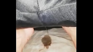 Preview 2 of Www Your Thief Porn Com - Peeing in PANTS,  GASTE85