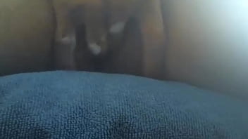 Preview 1 of Fingern Durch Strumpfhose - my wife masturbation