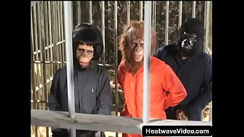 Preview 2 of Brother Real Sister 3gpking 2018 - Fucked in a cage