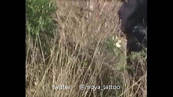 Preview 2 of Public Fuck Vk - espiado meando en el campo spy pissing