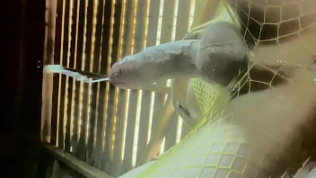 Preview 3 of Saxy Bf Xxx Hot - it&#039_s sperm rain !! Open your mouth ??
