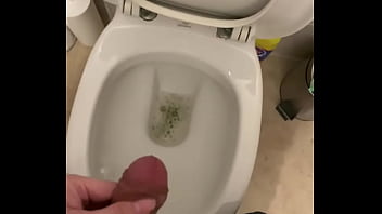Preview 3 of Www Xxn Comx - Me peeing in a toilet