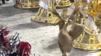 Preview 2 of Kama Saling Baju - Destaque de ch&atilde_o Viradouro 2019