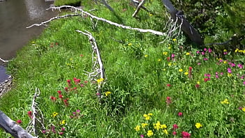 Preview 2 of Indian Forced To Deepthroat - BrandiBraids Sucks Cock In a Field of WildFlowers