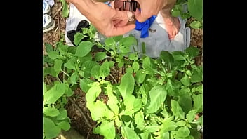 Preview 2 of Www Rap Video - Dare: Putting on my cock cage in a public park and pissing.