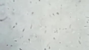 Preview 2 of Wwwpronxxx Iniyn - Soi tinh tr&ugrave_ng ch&uacute_ bộ đội