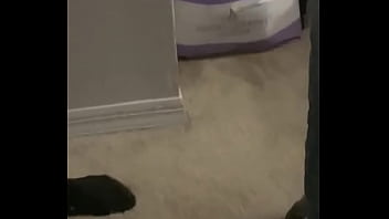 Preview 2 of Batchlorette Party - Definitely