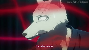 Preview 3 of Xxx Hd Vp Video - BEASTARS Temp 2 Eps 5 Sub espa&ntilde_ol
