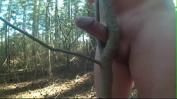 Preview 1 of Bamgbros Hd - Fucking trees 14