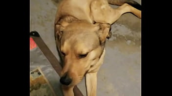 Preview 1 of Phim Sex Mbbg Chau Au Co Phu De - Has this happened to you too?