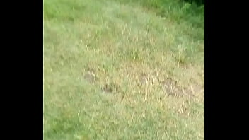 Preview 1 of Casting 2020 - Verification video