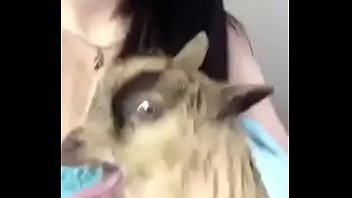 Preview 2 of Xxxvcnm - Cabrito da sorte
