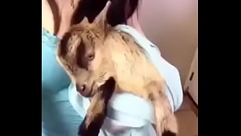 Preview 3 of Xxxvcnm - Cabrito da sorte