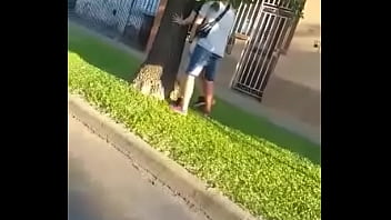 Preview 4 of School Gril Sax - Vacunacion en la calle xd