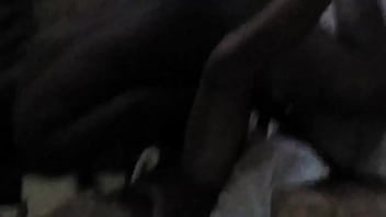 Preview 4 of Chapinas Dormidas Y Borrachas - Mi perra se la traga entera